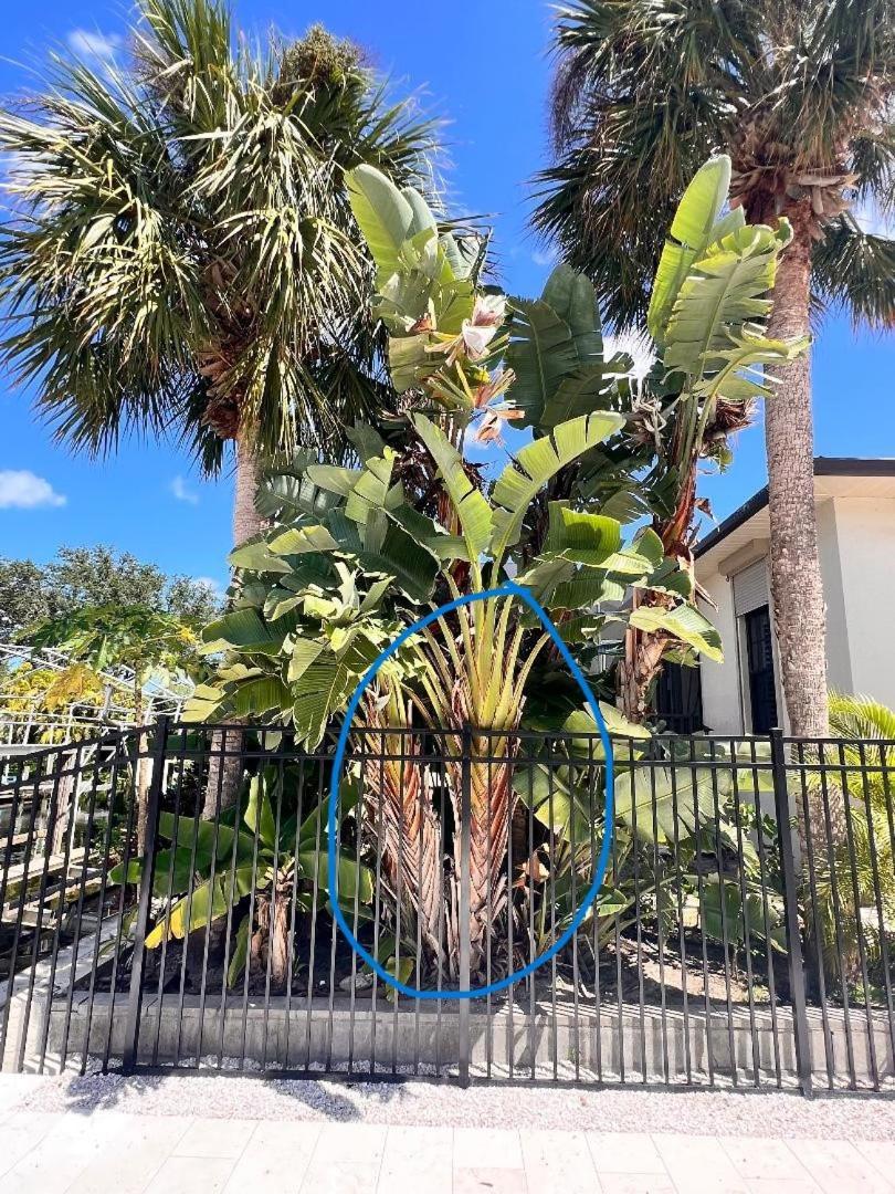 Imperial Paradise Bonita Springs Dış mekan fotoğraf